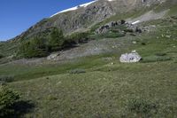 Lush Green Grass on Mountain Landforms