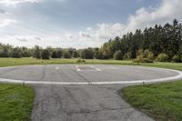 Lush Green Grass in an Open Space