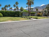 Lush Green Grass and Suburban House with Palm Tree