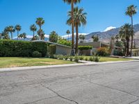 Lush Green Grass and Suburban House with Palm Tree