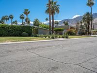 Lush Green Grass and Suburban House with Palm Tree