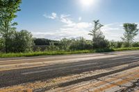 Lush Green Grass in Toronto, Ontario: Enjoy the Natural Environment