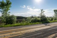 Lush Green Grass in Toronto, Ontario: Enjoy the Natural Environment