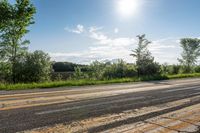 Lush Green Grass in Toronto, Ontario: Enjoy the Natural Environment