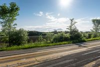 Lush Green Grass in Toronto, Ontario: Enjoy the Natural Environment