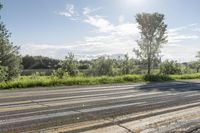 Lush Green Grass in Toronto, Ontario: Enjoy the Natural Environment