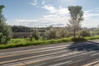 Lush Green Grass in Toronto, Ontario: Enjoy the Natural Environment