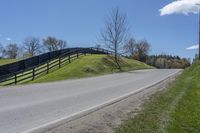 Lush Green Grass and Tree Farm in Ontario