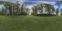 a grassy hill with a mound of grass near some trees and bushes in the background