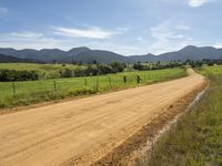 Lush Green Highlands in New South Wales