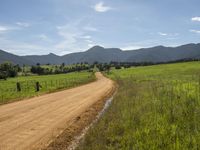 Lush Green Highlands in New South Wales