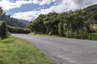 Lush Green Highlands Road and Nature