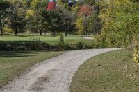 A Lush Green Land Lot in Toronto