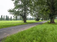 Lush Green Landscape in Bega Valley, New South Wales