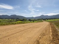 a dirt road with a grassy landscape next to it and mountains behind it with two tracks in the dirt