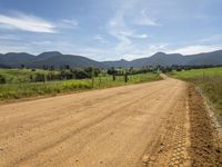 a dirt road with a grassy landscape next to it and mountains behind it with two tracks in the dirt