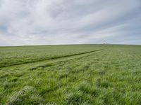Lush Green Landscape in Berlin, Germany