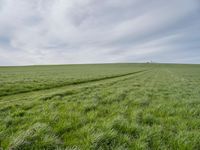 Lush Green Landscape in Berlin, Germany