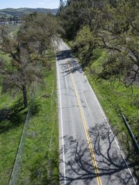 Lush Green Landscape in California, USA