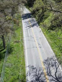 Lush Green Landscape in California, USA