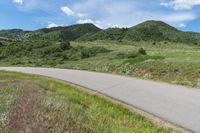 Lush Green Landscape in Colorado with Clear Sky