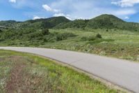 Lush Green Landscape in Colorado with Clear Sky