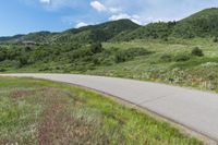 Lush Green Landscape in Colorado with Clear Sky