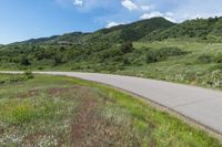 Lush Green Landscape in Colorado with Clear Sky