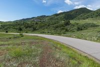 Lush Green Landscape in Colorado with Clear Sky