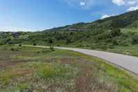 Lush Green Landscape in Colorado with Clear Sky