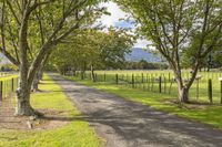 a dirt road in a pasture with grass and trees in the background with the sun coming through