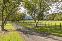 a dirt road in a pasture with grass and trees in the background with the sun coming through