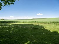 green and blue pasture with shade on grass and a large field of tall grass and trees