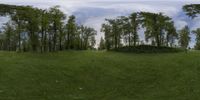 a grassy hill with a mound of grass near some trees and bushes in the background