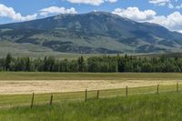 the landscape in this view is lush and green, with mountains in the background - and a field of grass - to the right