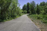 a view down a long paved trail that runs alongside a forest area on one side and a wooded area on the other