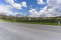 Lush Green Landscape in Ontario, Canada: Tree Filled View