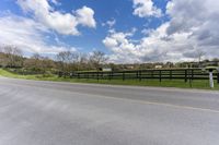 Lush Green Landscape in Ontario, Canada: Tree Filled View