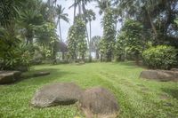 large rocks sit in the grass near palm trees and water lils in the distance