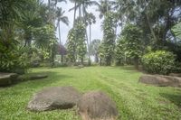 large rocks sit in the grass near palm trees and water lils in the distance