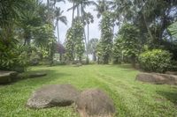 large rocks sit in the grass near palm trees and water lils in the distance