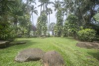 large rocks sit in the grass near palm trees and water lils in the distance