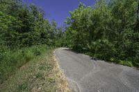 a rural road with a bike that is next to some tall green trees on either side