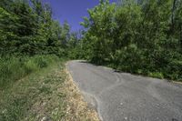 a rural road with a bike that is next to some tall green trees on either side