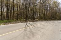 the road is empty and the trees are in shadow on the side of it next to the roadway