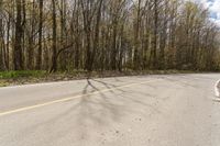 the road is empty and the trees are in shadow on the side of it next to the roadway