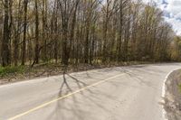 the road is empty and the trees are in shadow on the side of it next to the roadway