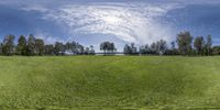 a 360 - view shows trees in a green field with a big hole and some clouds above them