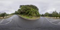 a photo of a road with trees and bushes in the middle of it, a fish eye lensing