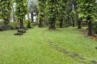 Lush Green Lawn Property Garden